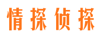 普洱市私家侦探